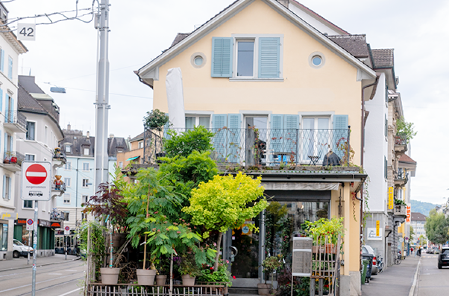 Zweierstrasse Ansicht